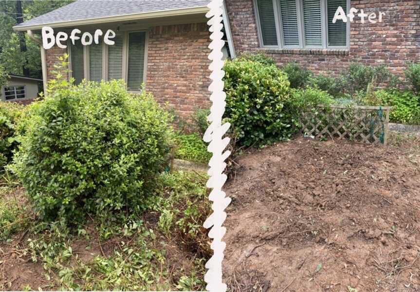 Digging bushes